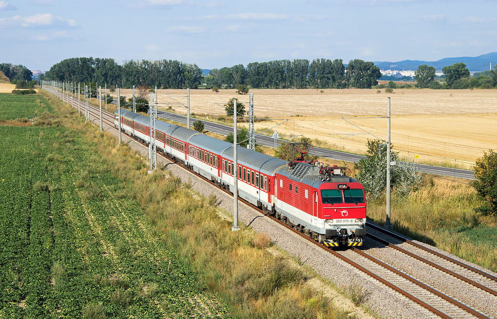 350.019-6