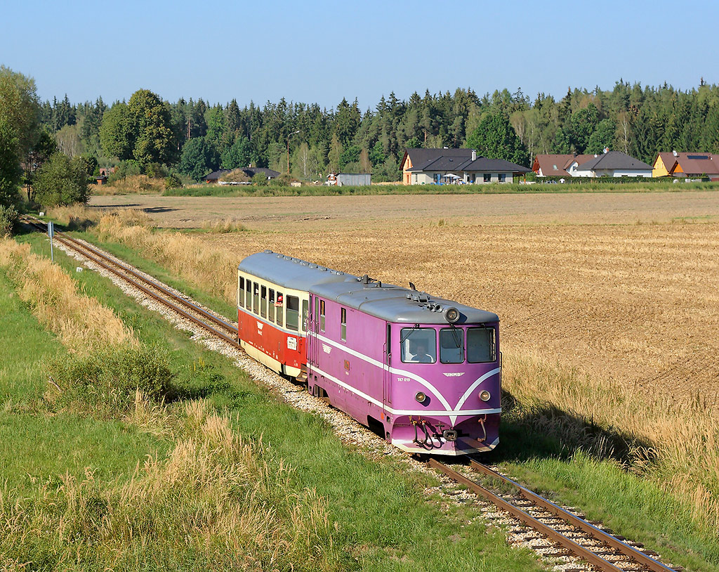 T 47.019