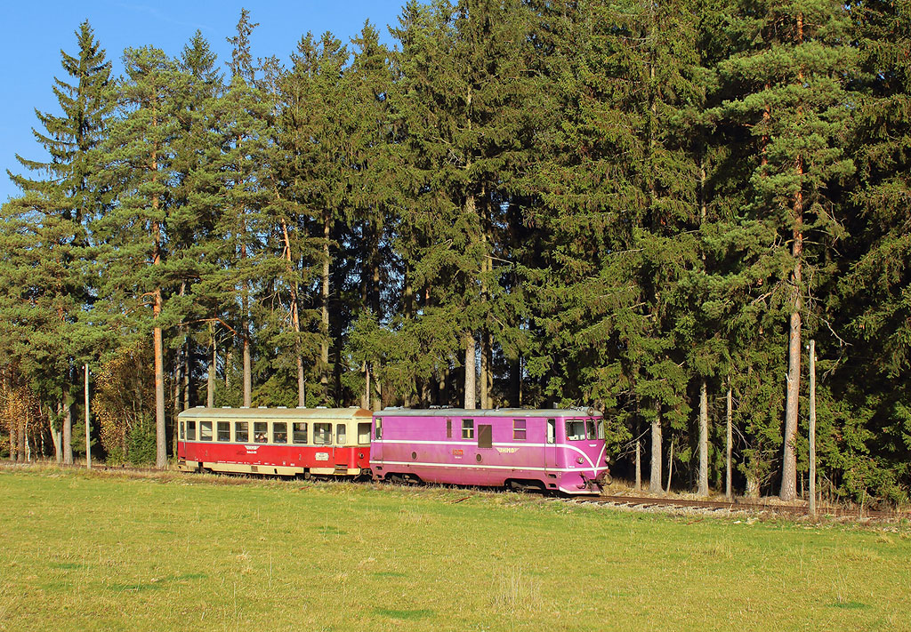 T 47.019