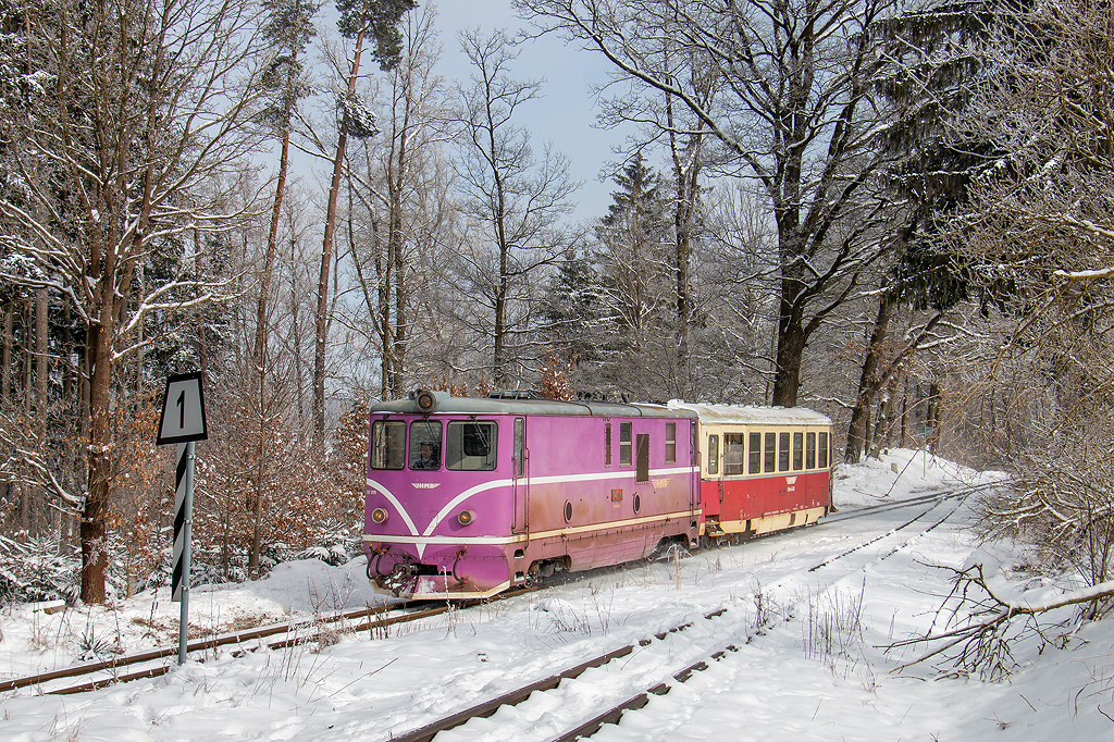 T 47.019