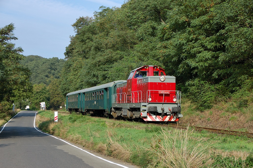 T 466.0286