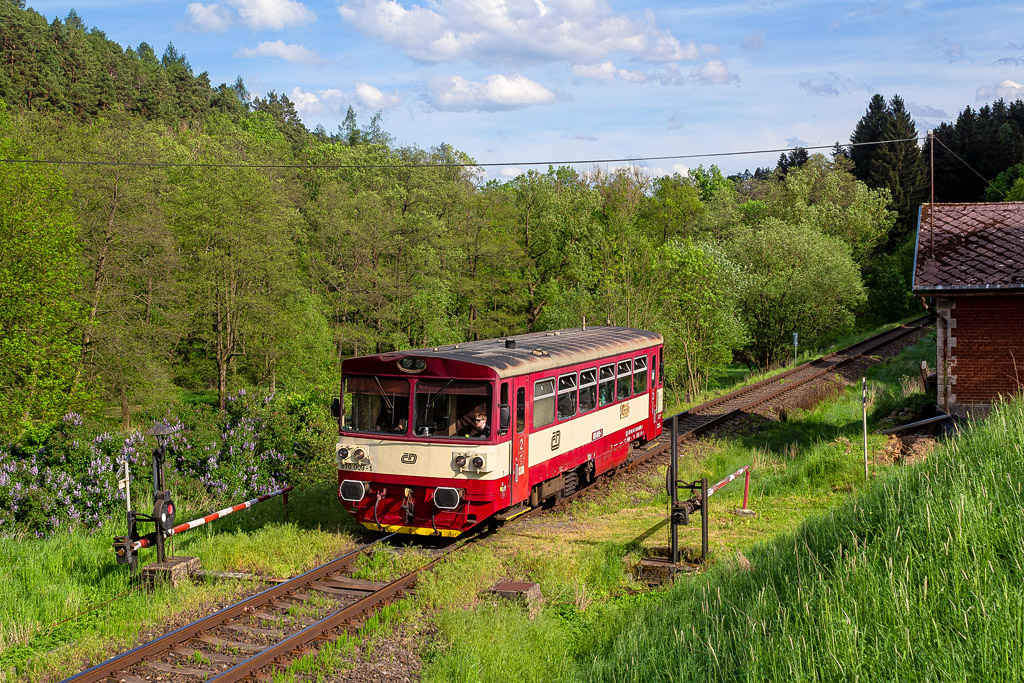 810.009-1