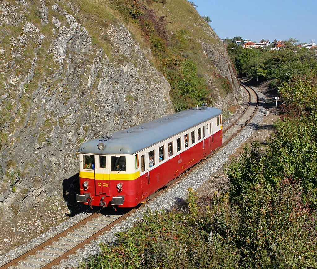 M 262.1212