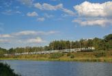 130