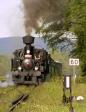 Steam locomotives