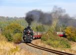 Steam locomotives