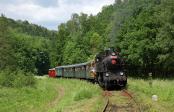 Steam locomotives