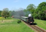 Steam locomotives