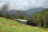Steam locomotives