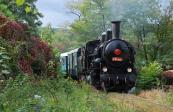 Steam locomotives