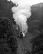 Steam locomotives