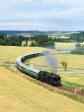 Steam locomotives