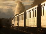 Steam locomotives