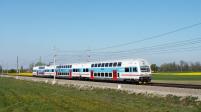 Elektrotriebwagen und -züge 