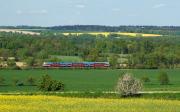 Elektrotriebwagen und -züge 