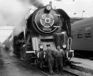 Steam locomotives