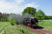 Steam locomotives
