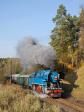 Steam locomotives