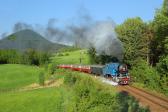 Steam locomotives