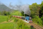 Steam locomotives