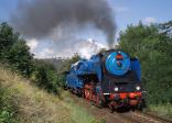 Steam locomotives