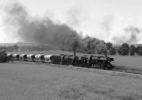 Parní lokomotivy