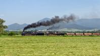 Steam locomotives
