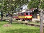 T 47.019
