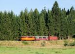 Diesel locomotives