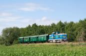 Diesellokomotiven