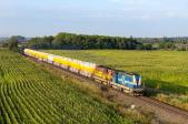 742.141-5 + 742.433-6