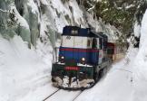 743.010-1