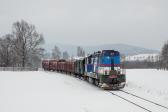 743.010-1