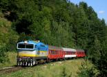 Diesellokomotiven