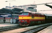 T 478.1141