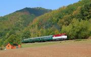 T 478.1001