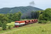 T 478.1004