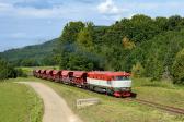 T 478.1004