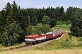 T 478.1004