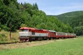 T 478.1004