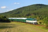 T 478.3101
