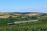 754.013-1