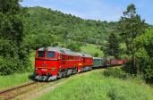 T 679.1529 + T 679.1168