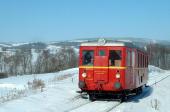 Verbrennungstriebwagen und -züge