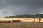 Verbrennungstriebwagen und -züge