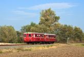 Verbrennungstriebwagen und -züge