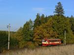 Diesel multiple units and railcars