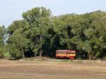Verbrennungstriebwagen und -züge