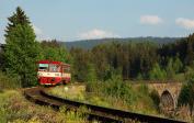Verbrennungstriebwagen und -züge
