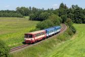 Verbrennungstriebwagen und -züge